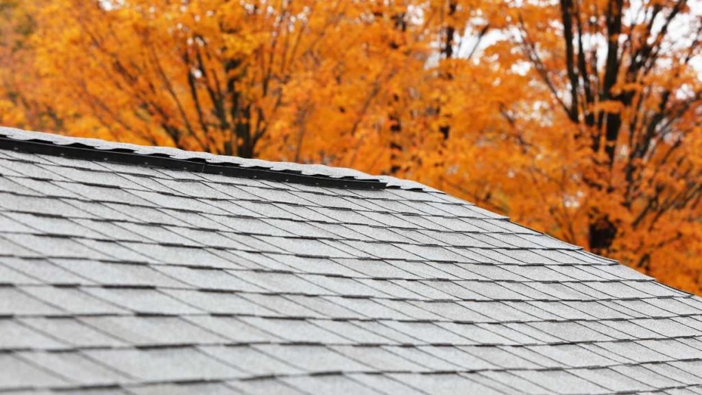 Roof-Mortar-bed-preparation.jpg